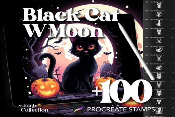 Download 100+ Procreate Black Cat with Moon Stamp - Moon Collection